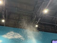 -Mr·Kuma酷么先生雪之乐园