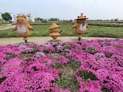 -嘉北郊野公园