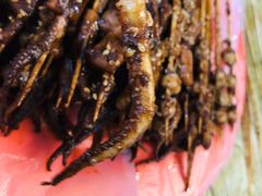 -十里铺铁板鱿鱼