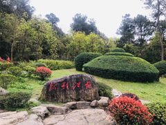 -铁山坪森林公园