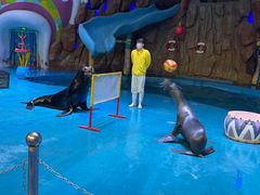 -烟台海昌鲸鲨海洋公园