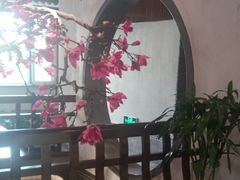 -天天鱼港·海鲜·鲅鱼水饺·招牌烤鸭(黄骅店)