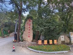 -鲁山国家森林公园