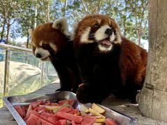 -水上乐园·欢乐世界