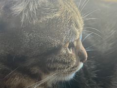 -Catmate·猫肥家润(金润铂宫店)