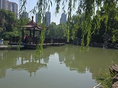 -西苑公园