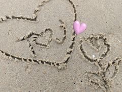 -厦门园林博览苑