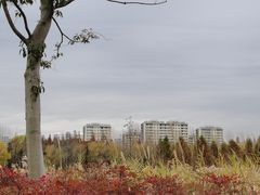 -昆山城市生态森林公园