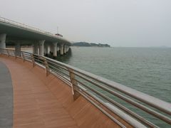 -演武大桥观景平台