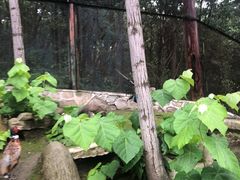 -哈尔滨北方森林动物园