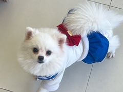 -怪兽屋·羊驼·猫咖·狗咖(俊华广场店)