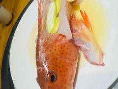 -77号渔船·蒸海鲜青岛菜(积米崖店)