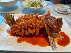 -洋洋中餐馆·SINCE 1997(信投店)