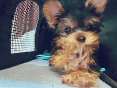 -P.T HERO私人健身工作室(吾悦国际店)