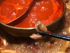 -哥老官重庆美蛙鱼头(宝山龙湖店)