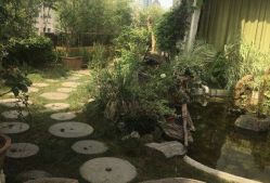 -罗亚帝·NASHOW纳秀形象设计