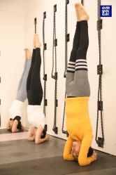 -OM瑜伽教练培训学院