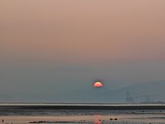 -坛南湾阿强农家乐.海鲜大排档老字号(福州地标美食店)
