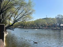 -石家庄市动物园