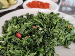 凉拌苜蓿-范记靖远羊羔肉(博物馆店)