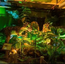 -恐龙探索乐园(磁器口店)