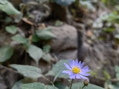 -龙门涧景区