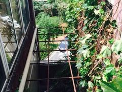 -竹吟山房