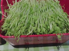 -番食园鲜食火锅(高新店)