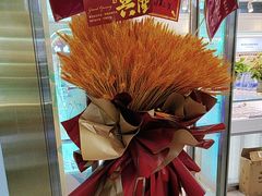 -北京眼镜城