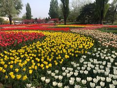 -国家植物园南园