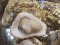 -爱蚝屋