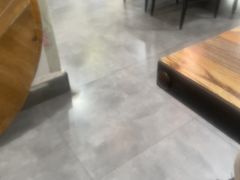 -东鸽皇(奥园·中环广场店)