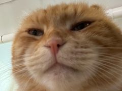 -平行世界·猫咖(首经贸店)