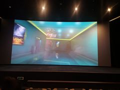 -深影国际影城(学院南路店CGS中国巨幕店)