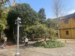 -迎江寺