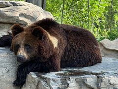 -北京野生动物园