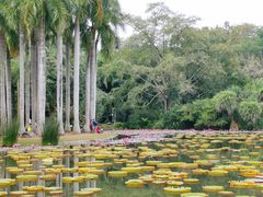 -中国科学院西双版纳热带植物园