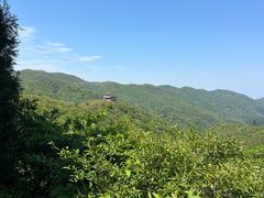 -大围山国家森林公园