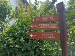 -茯茶镇