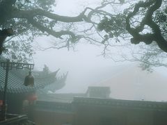 -普陀山风景区-佛顶山