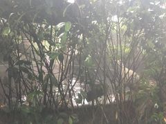 -杭州第一世界大酒店·云曼温泉
