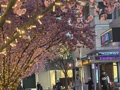 -中粮·祥云小镇