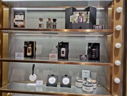 -香遇沙龙香水·调香·团建