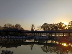 -葛仙湖公园