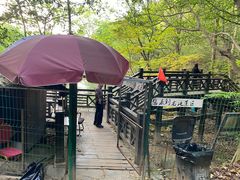 -白马涧龙池景区