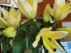 -福州金融街万达鳌峰洲地铁站锦江都城酒店