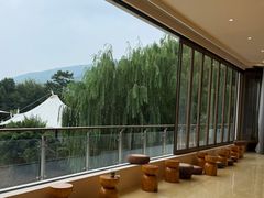 -帐篷客·溪龙茶谷度假酒店