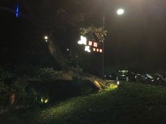 -草山夜未眠景观餐厅