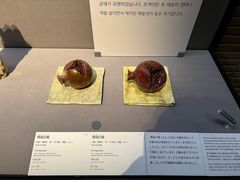-东京国立博物馆