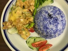 椰浆鸡饭-马来MO简餐.南洋风味料理(美食街店)